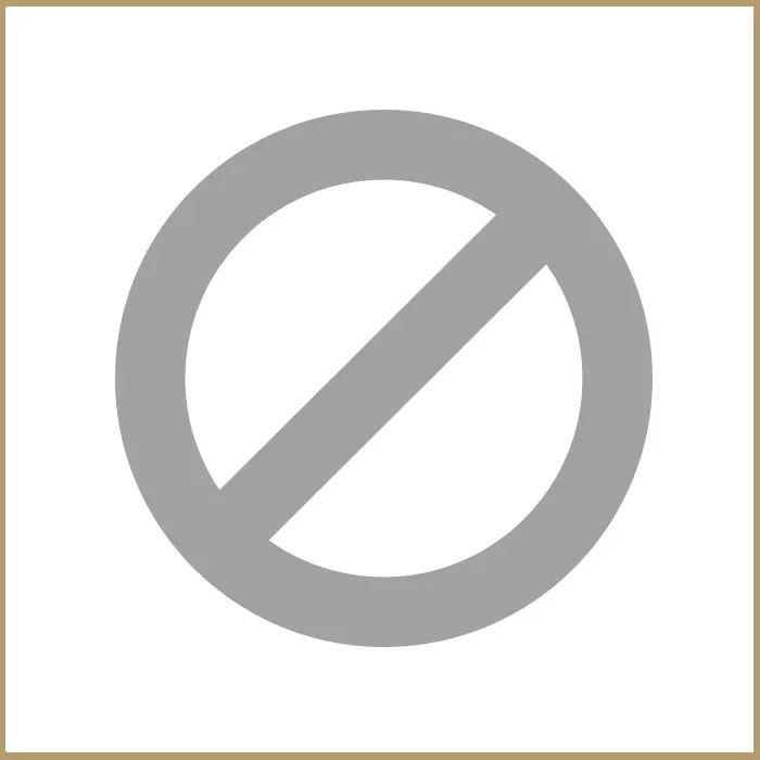 None icon.